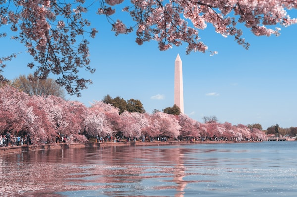 Washington D.C.